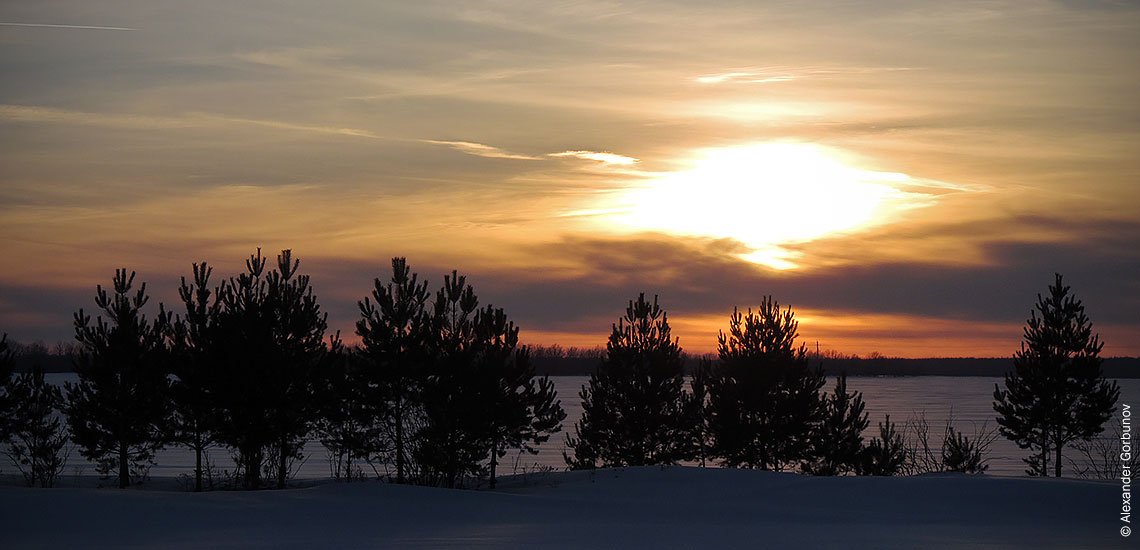 С Новым 2017 годом